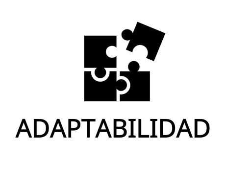 Todas las evoluciones técnicos y periféricos son compatibles con prensas ya vendidas, adaptándose a las necesidades del cliente.